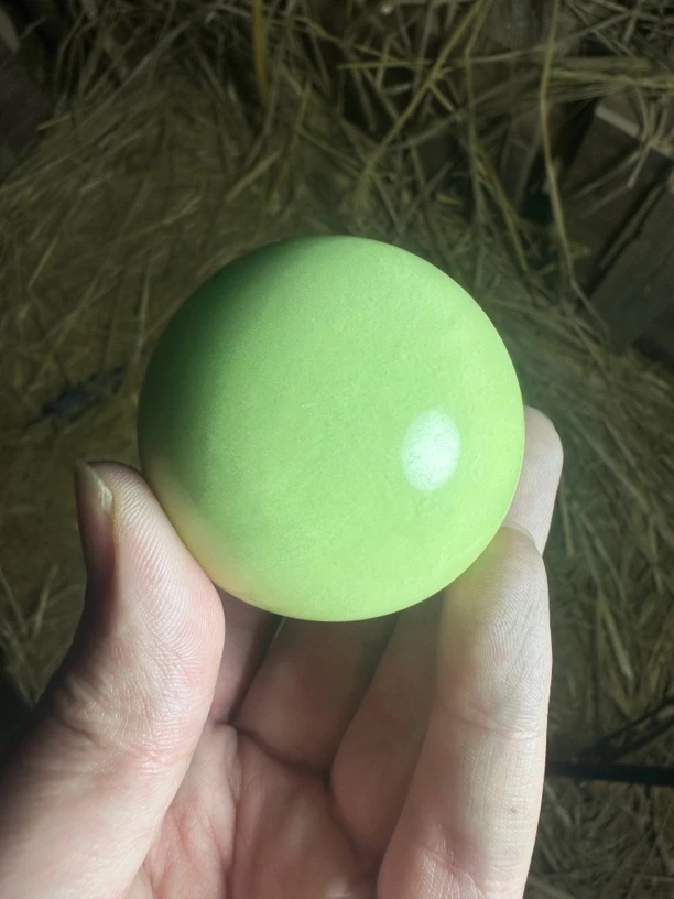 精品家居复古摆件 精品家居复古摆件 精品家居复古摆件