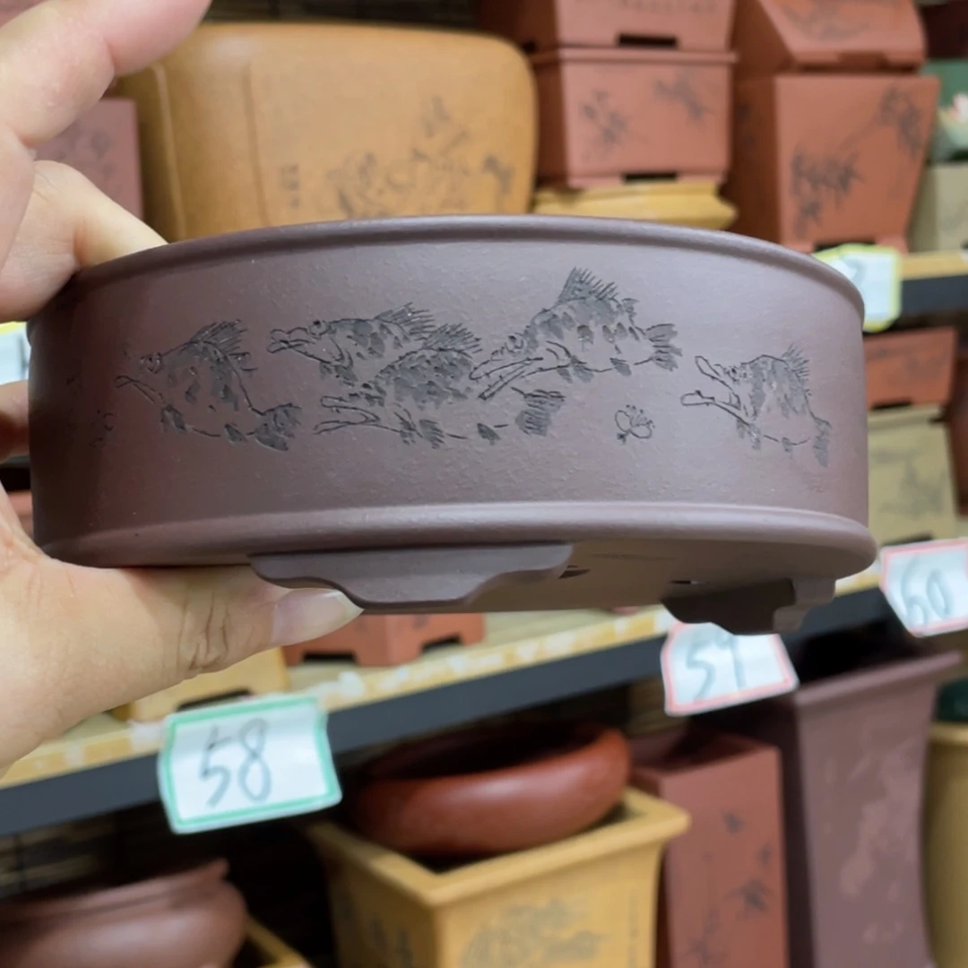 花盆紫砂紫砂花盆在这里