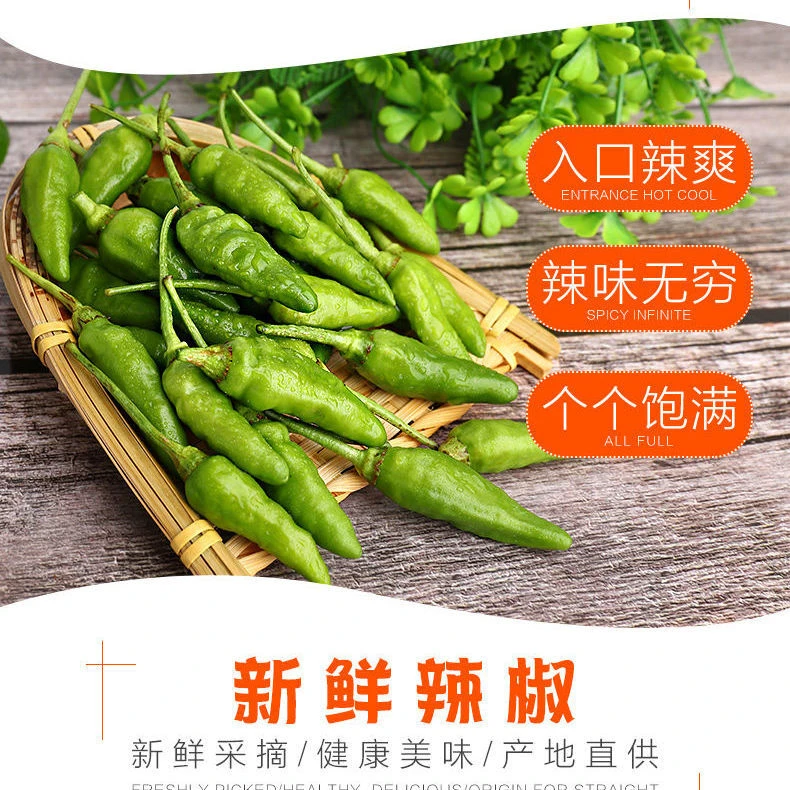 广西特产新鲜小米辣现摘现发正宗小雀辣二荆条野山椒泡椒包邮