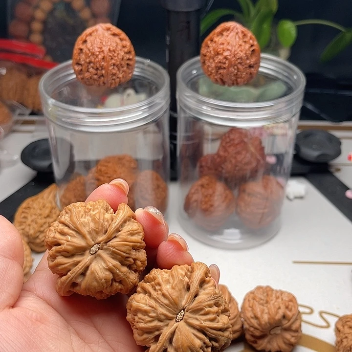 桃核把件玉****?大粗筋45全品