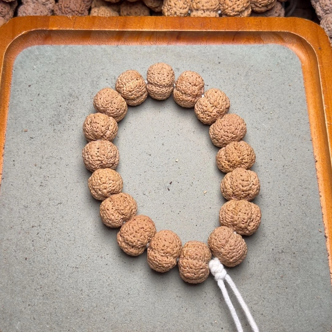 菩提8号金刚菩提菠萝蜜20