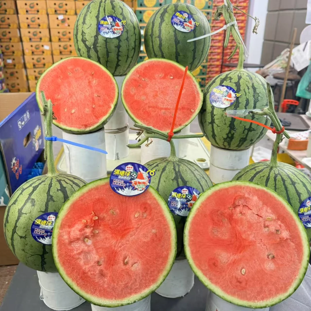 【乐鲜果园】满糖仔西瓜一个装当季新鲜西瓜