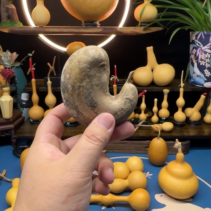 s***鹤一物一图葫芦专拍下单链接