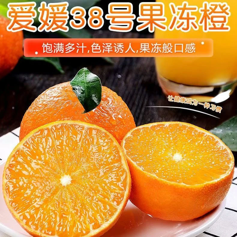 四川正宗爱媛38号果冻橙新鲜应季水果皮薄肉厚新鲜采摘Z