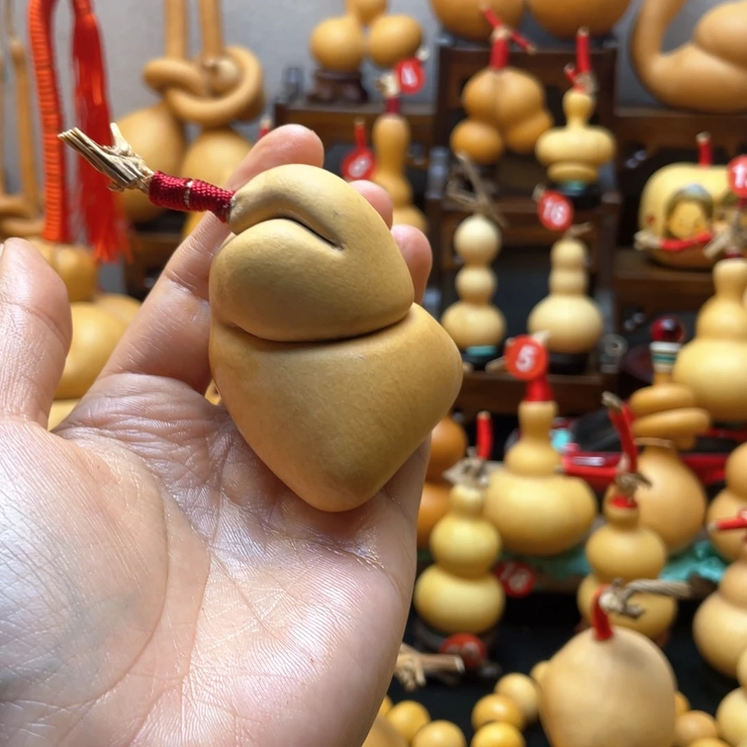 ?**乐大自然的秘密第十一节人类