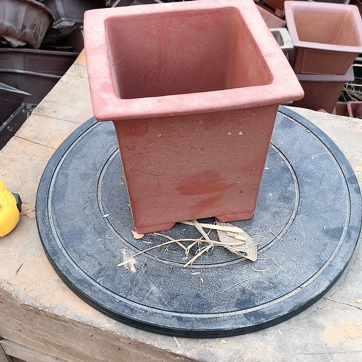 紫砂没有那么好吃我觉得很