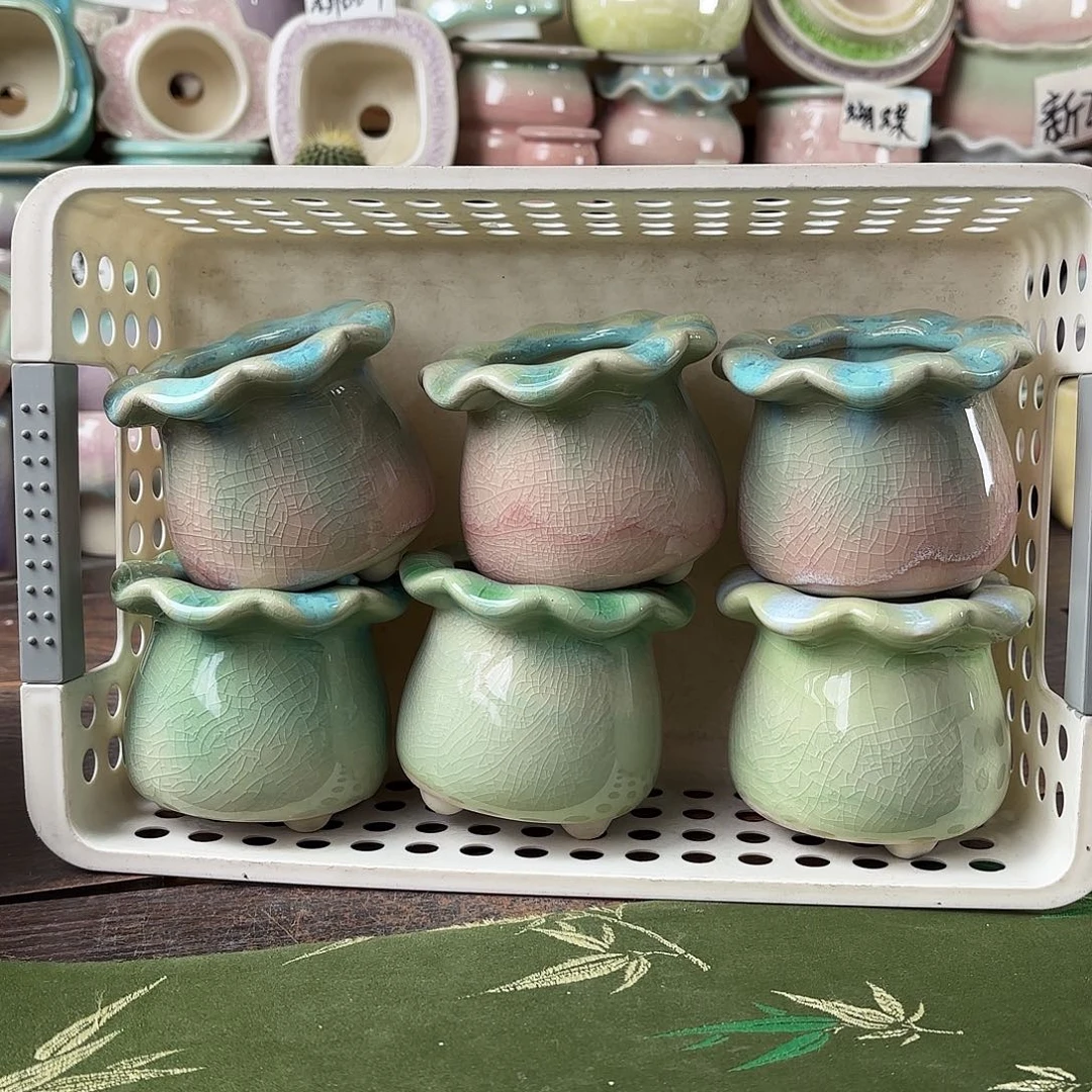 量货/口4.5高6.5深浅搭配发6福利