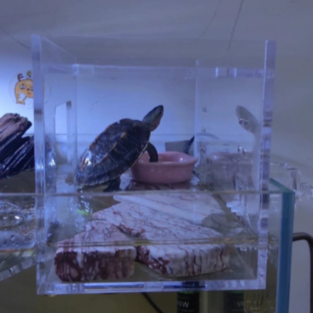 乌龟晒台防逃爬台深水龟高水位休息浮岛晒背台阳光暖房饲养箱别墅