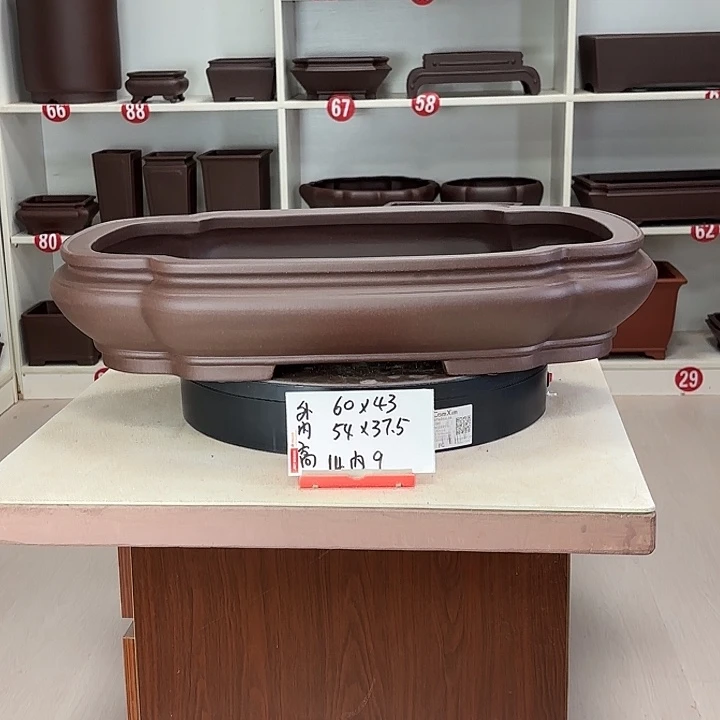 花盆紫砂海常大号