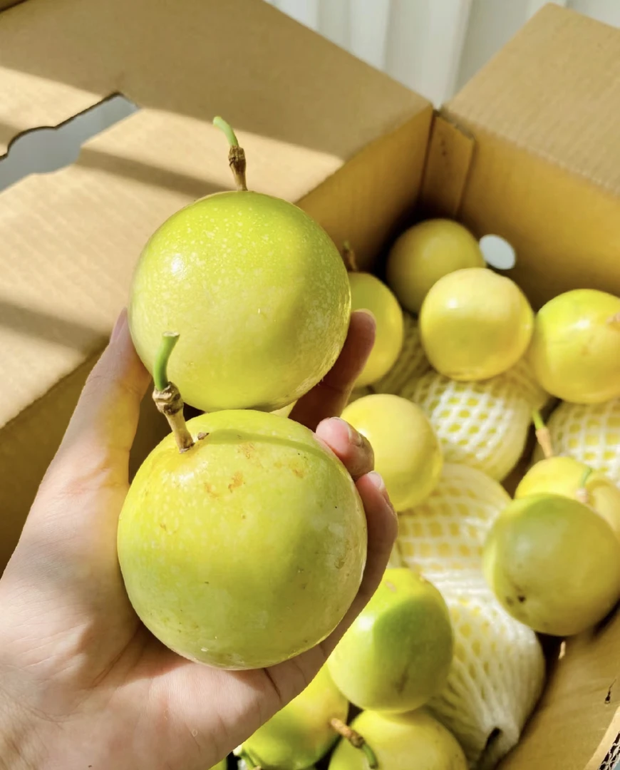 顺丰·现货广西钦蜜9号百香果3斤/5斤/新鲜鲜果发货产地直营仓发货