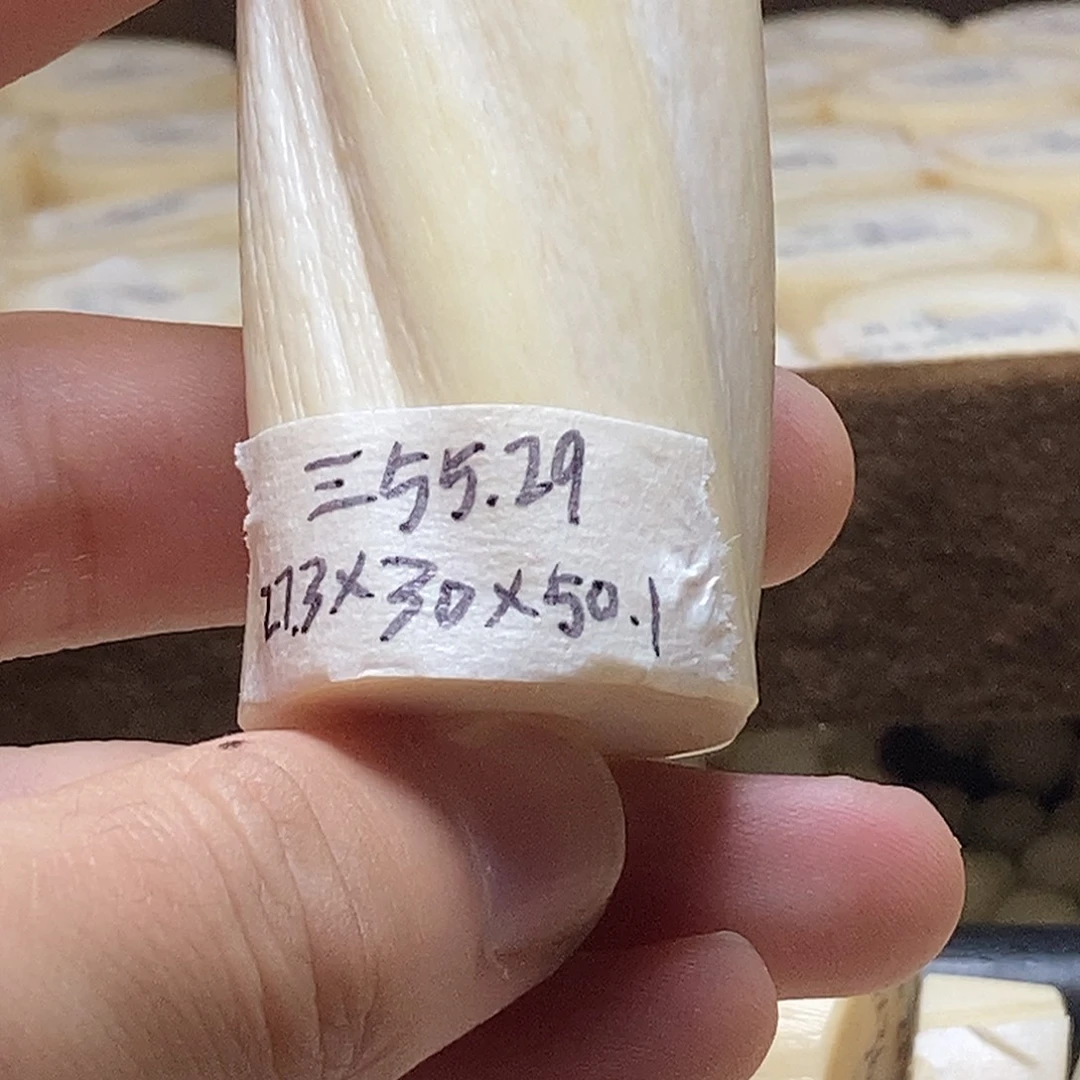 手串/手链/手镯猛犸象牙独勒子55.28