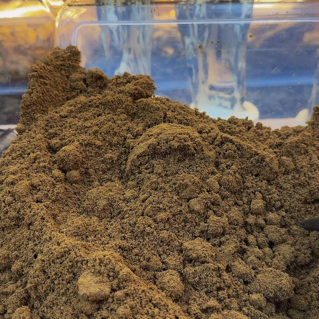 沉香沉香木制品陆河沉水磨珠粉100克送电子熏炉1