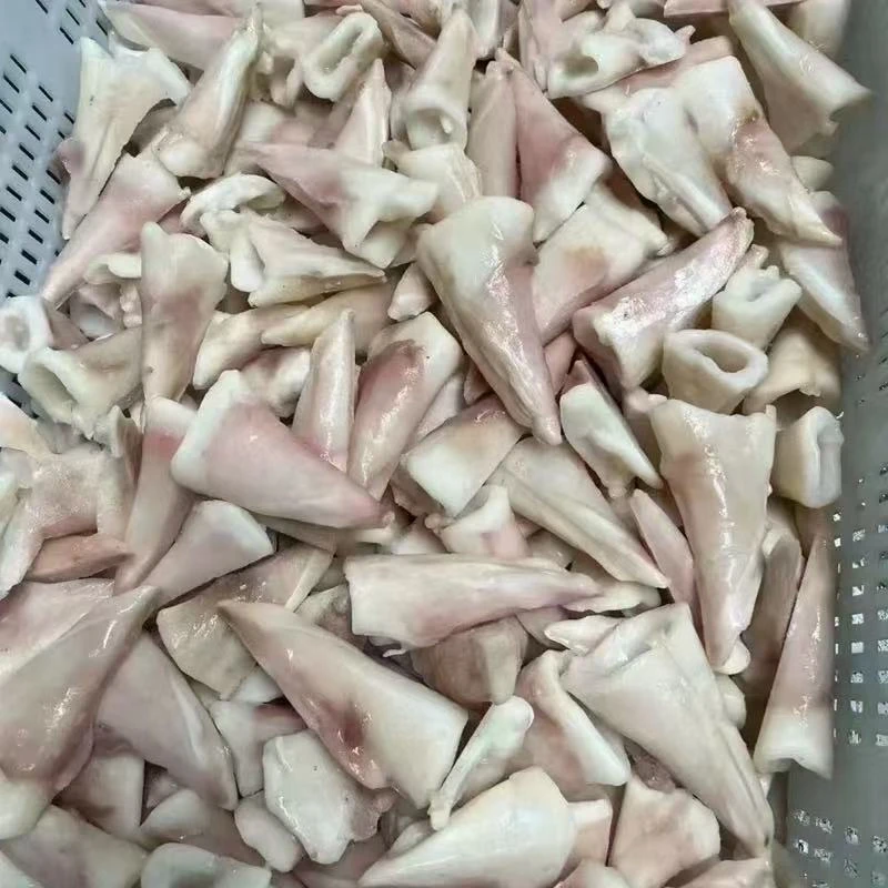 鱿鱼尾尖5斤新鲜水产