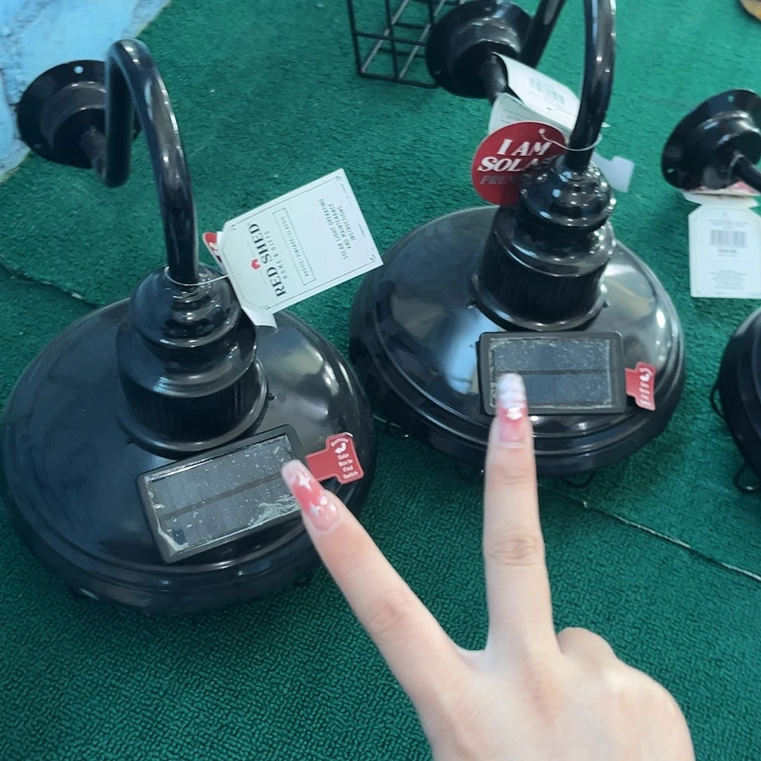 孤品炸炸炸炸炸炸