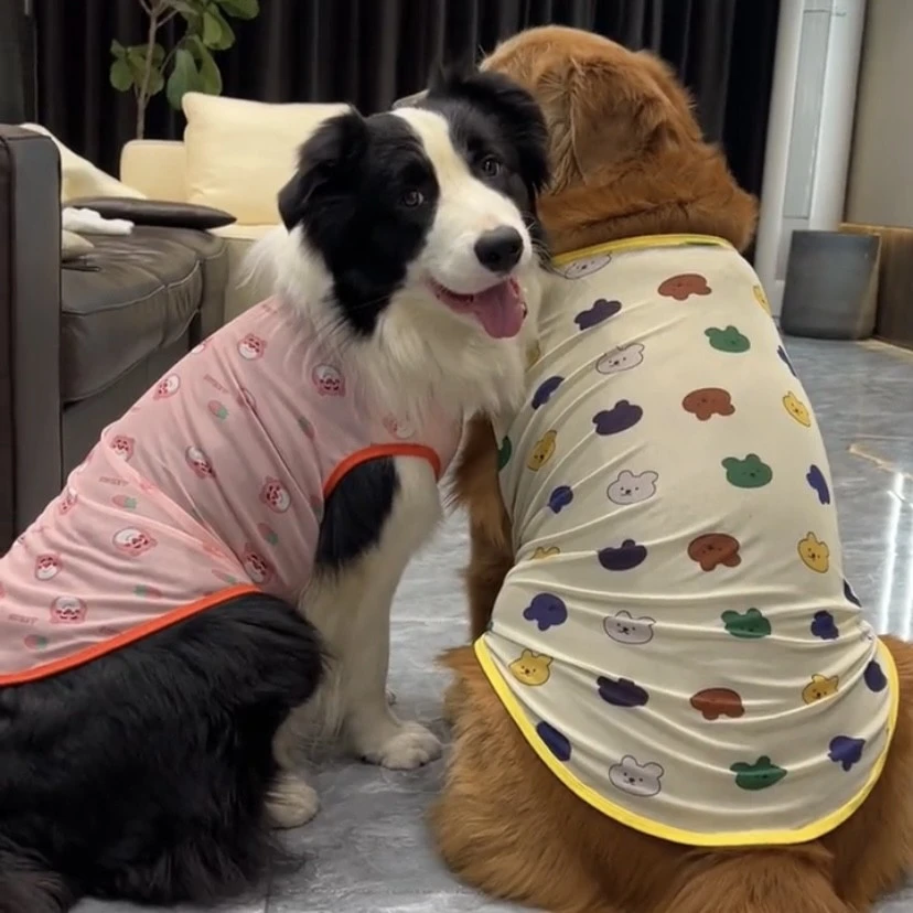 大狗衣服夏季薄款透气金毛幼犬哈士奇边牧拉布拉多大型犬网眼背心