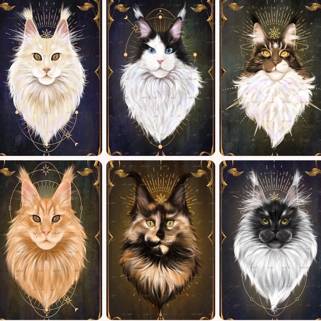 【慧慧】缅因猫通用链接2