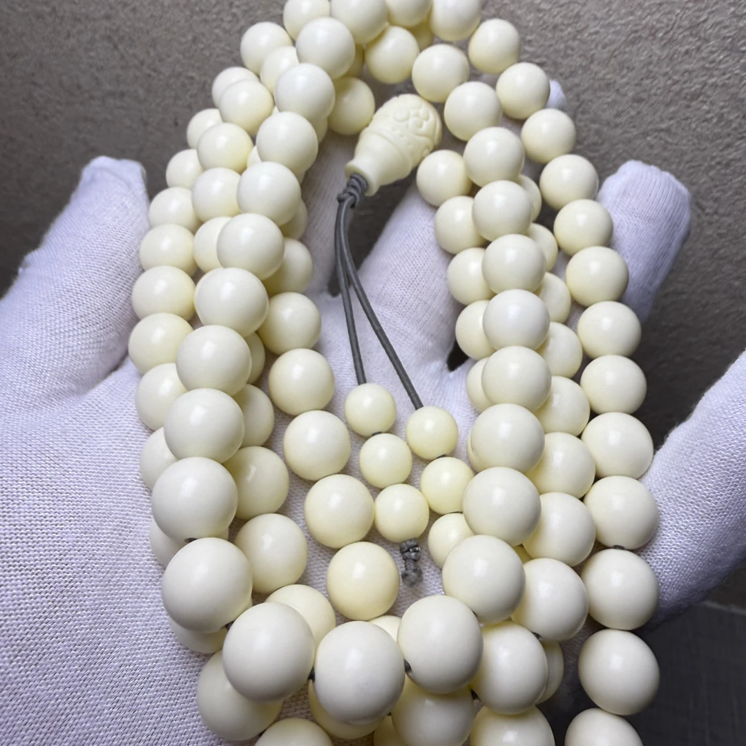 D99人工养殖鹿角雕刻料，1.0x108颗