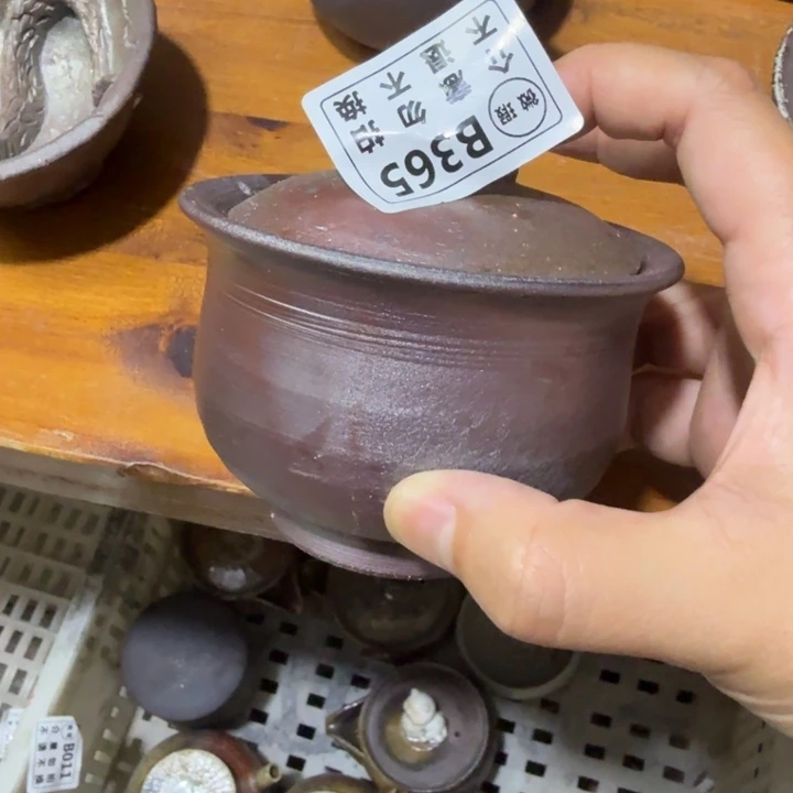 杯子柴烧新品福利多多