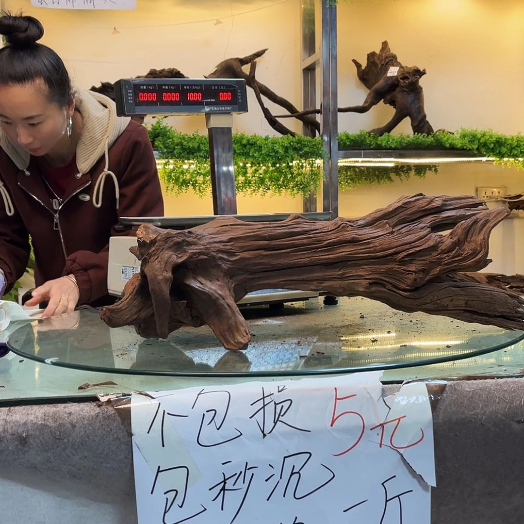 柚木绳****室沉木鱼缸造景