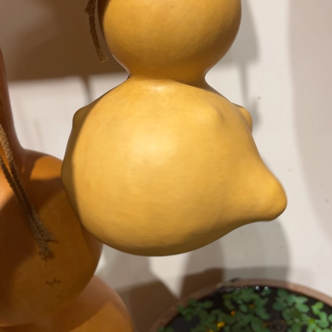 我****木旅途我某告诉他我摸鱼