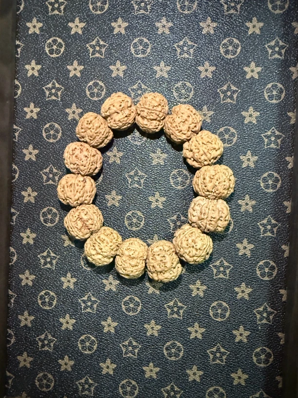 24mm五瓣梅花蜂王