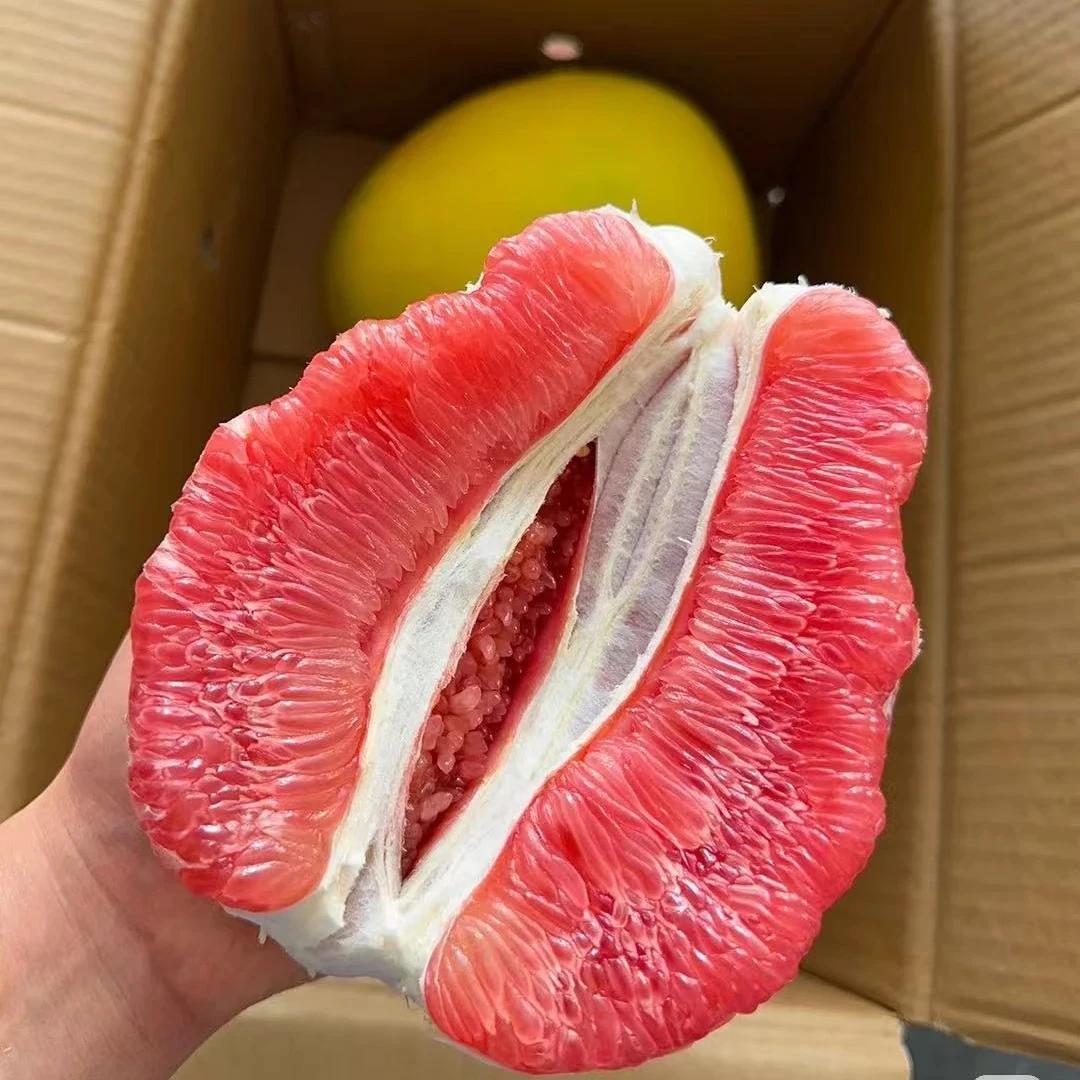 正宗红心蜜柚低糖新鲜孕妇水果红心柚子老树大果新鲜采摘现发甜柚