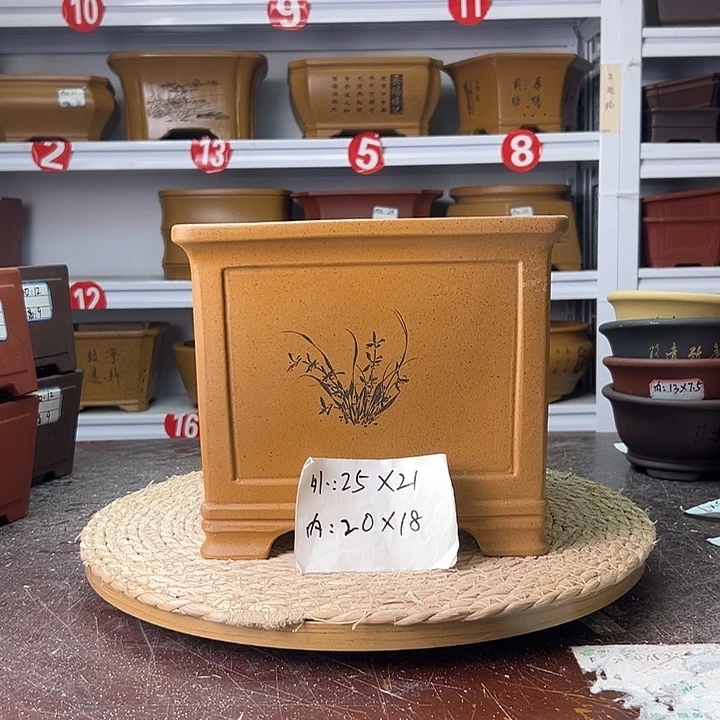 紫砂花盆蛇年大吉