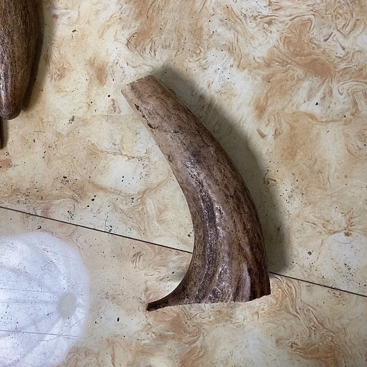 今***社大叶紫檀（黑酸枝木类）