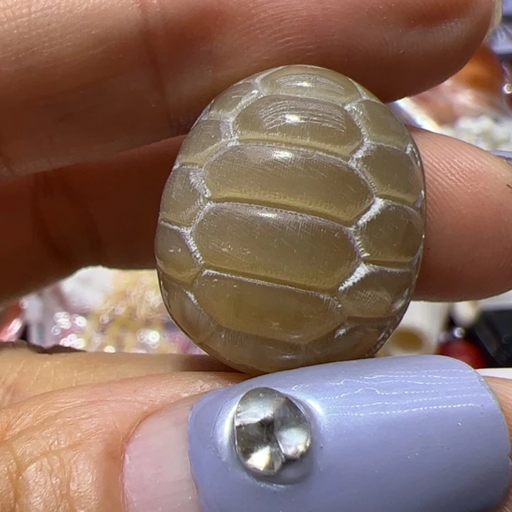 大果紫檀（缅甸花梨）射白富甲单珠