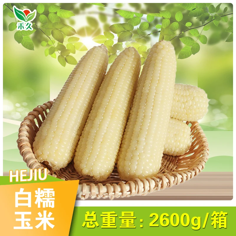 【禾久】白糯玉米 260g*10根/箱（整箱2.6kg)