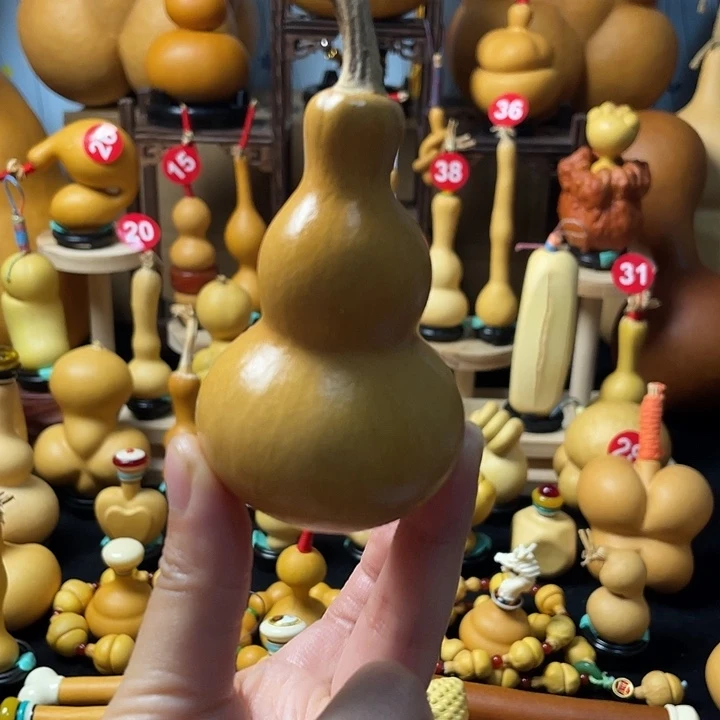 葫芦丝老师在讲道理也