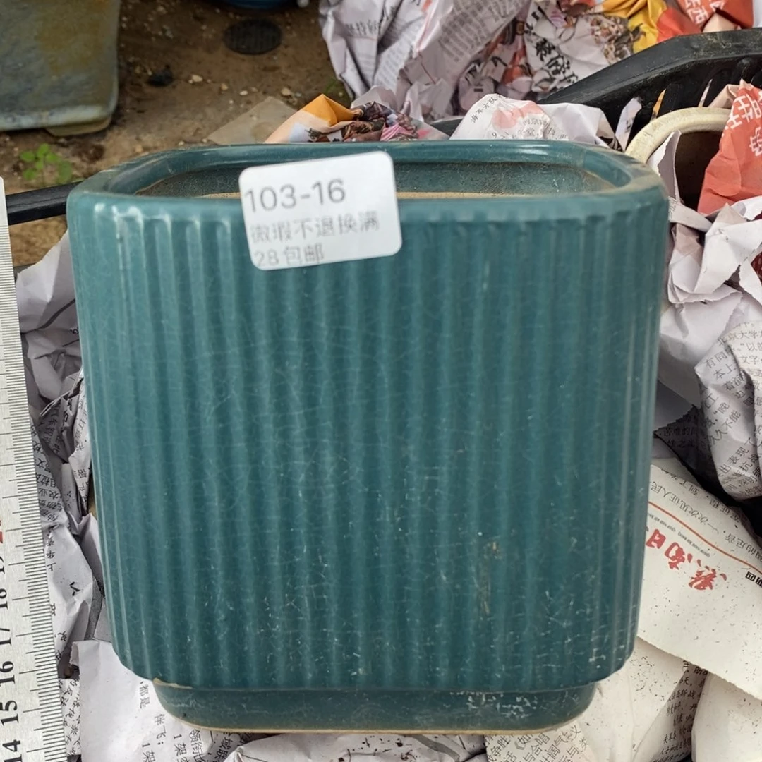 16号花盆内12高13花盆