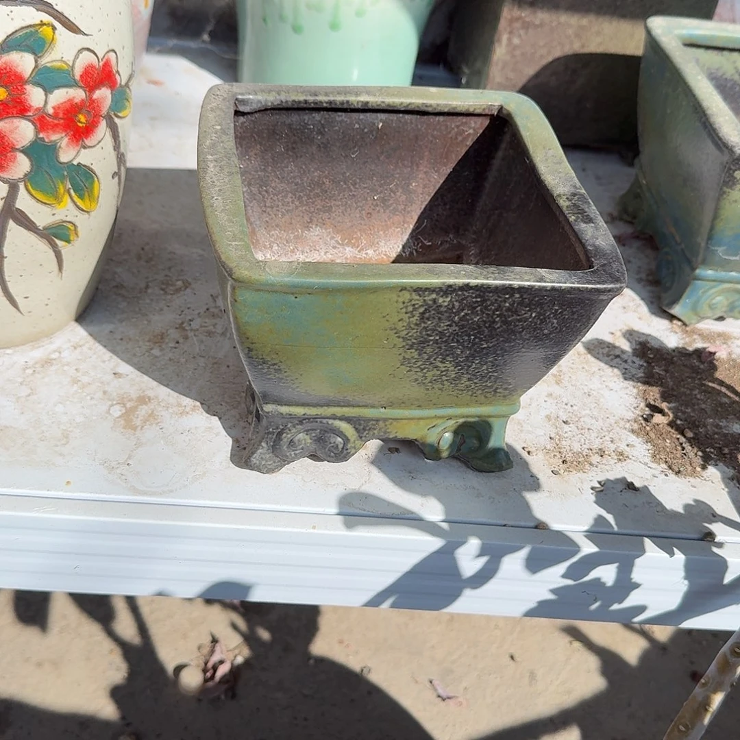 祥云瑕疵花盆多肉植物