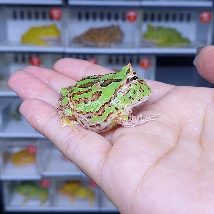 特价秒杀现货特价