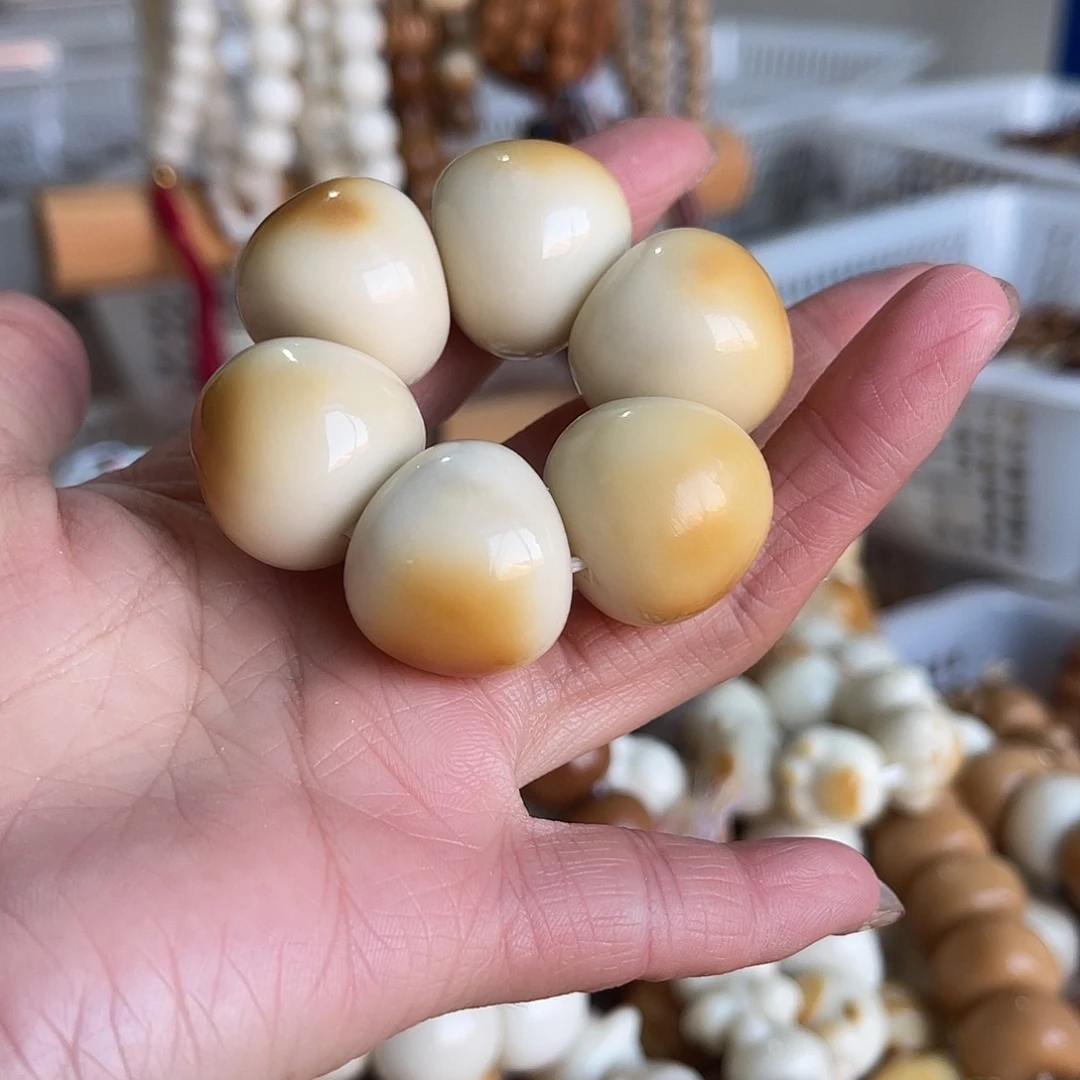 吊坠菩提根/象牙果牙果蒜瓣炭烤