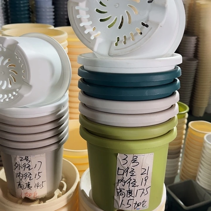 四季3#口径21果绿10个带托