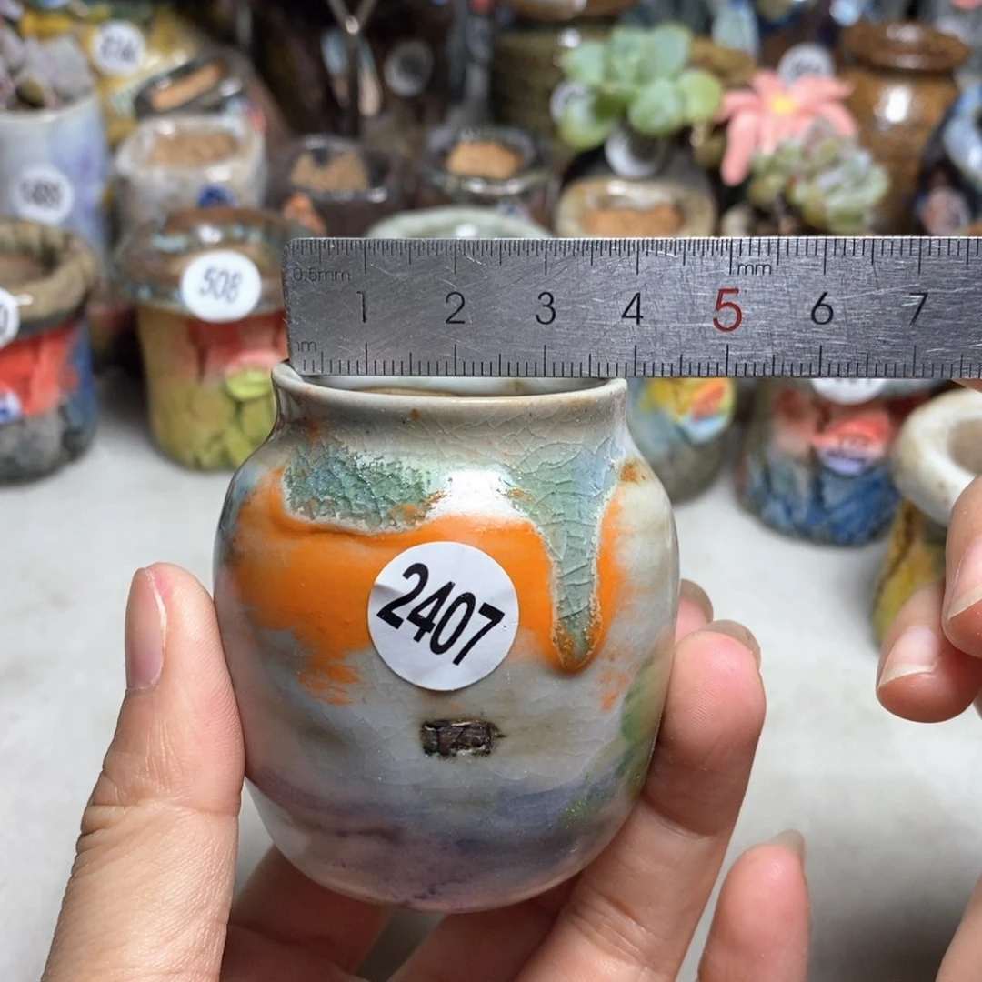 拍5送一个小礼物