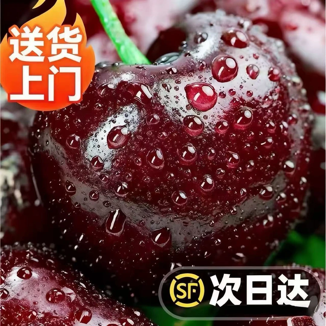 3JDD黑车果王5斤净重【今天拍明天到】智利海运进口车厘新子新鲜水果孕妇水果内附果径卡桑提娜樱桃智利共和国