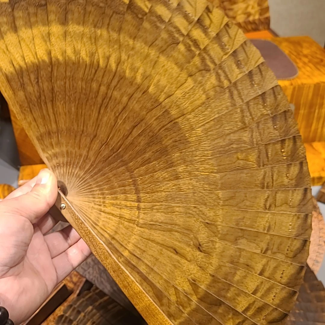 金丝楠21苏扇金丝楠木小叶桢楠