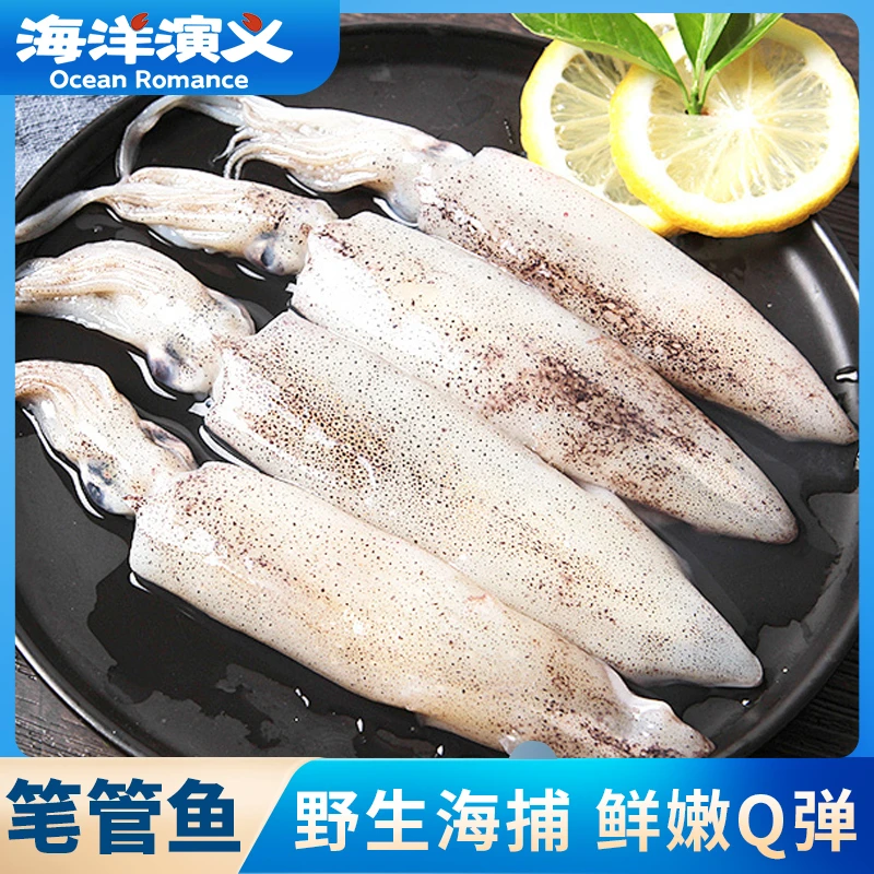 海洋演义 笔管鱼 400g/包*5包 CC