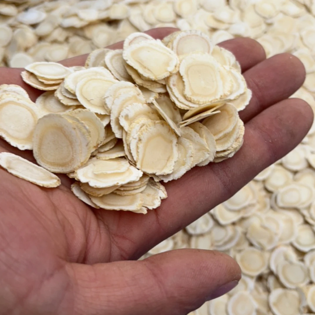 1.6西洋参长白山包邮