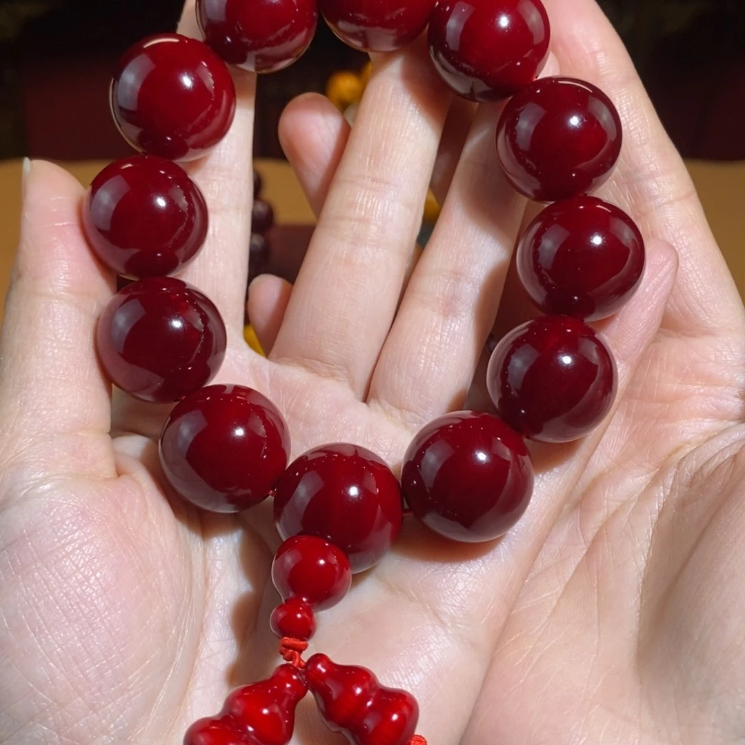 贝壳杉帝王血龙木2.0千年