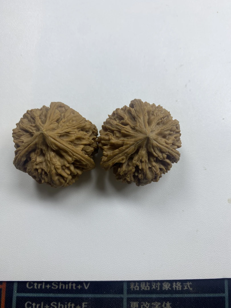 文山三棱核桃手把件