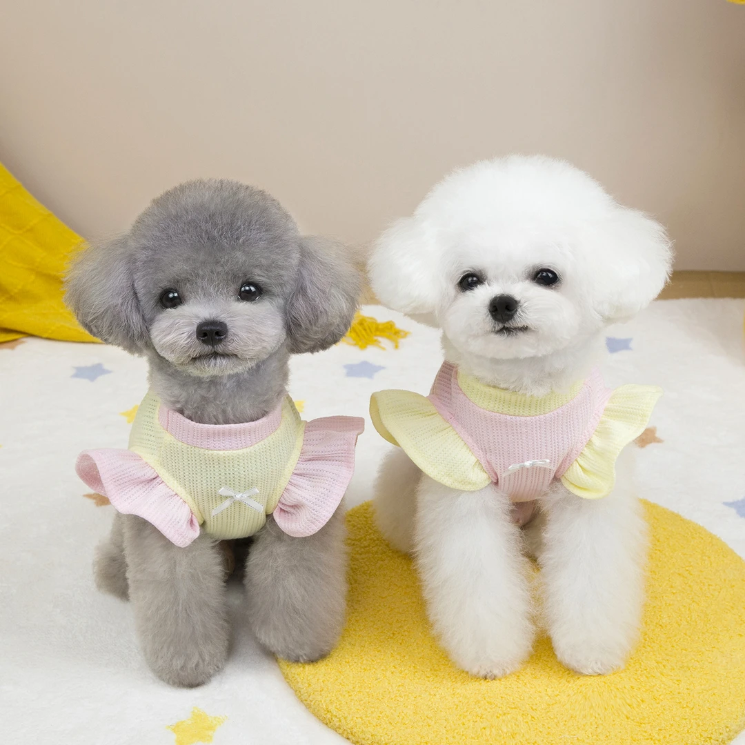 宠物衣服狗狗服装猫咪衣服泰迪比熊服装25撞色飞袖背心