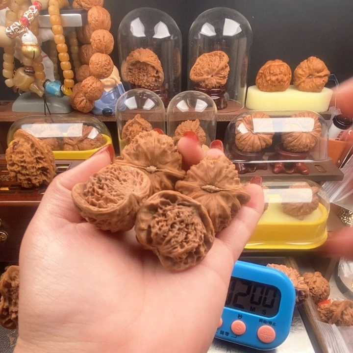 风**轻fgjkkhfdfgjk