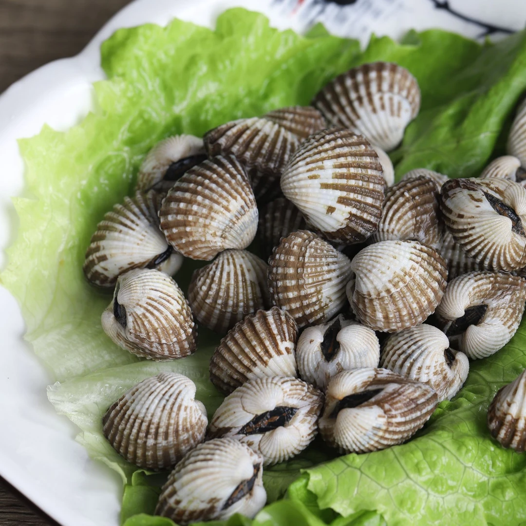 正宗温州血蛤乐清翁垟特产丝蛤血蚶司蚶