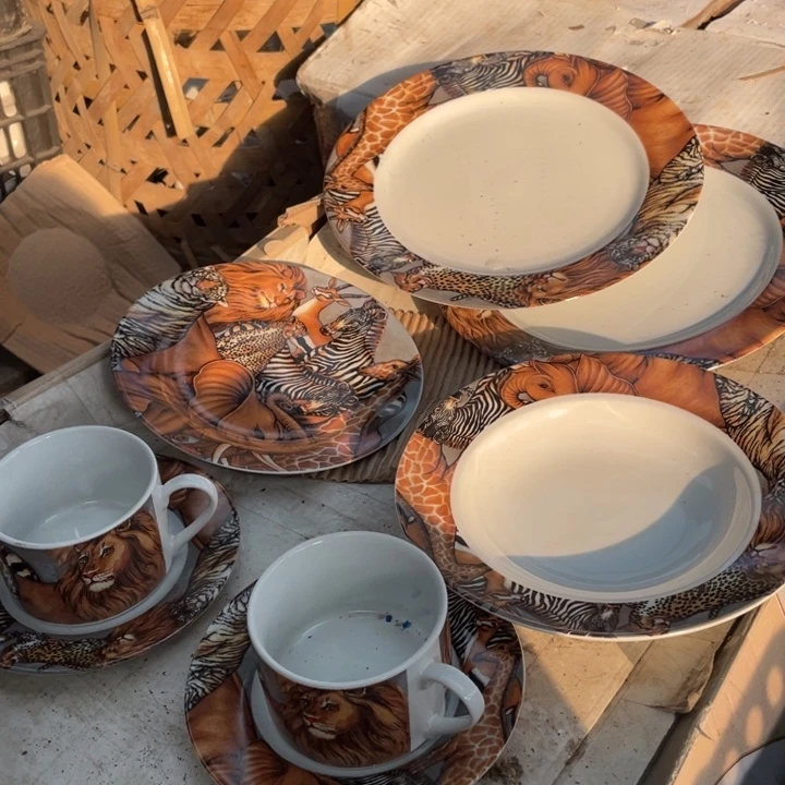 其他盘子碗砂锅都有