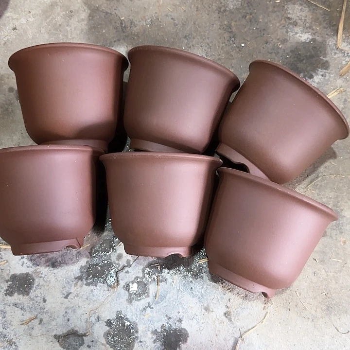 13×10六只福利款小京中