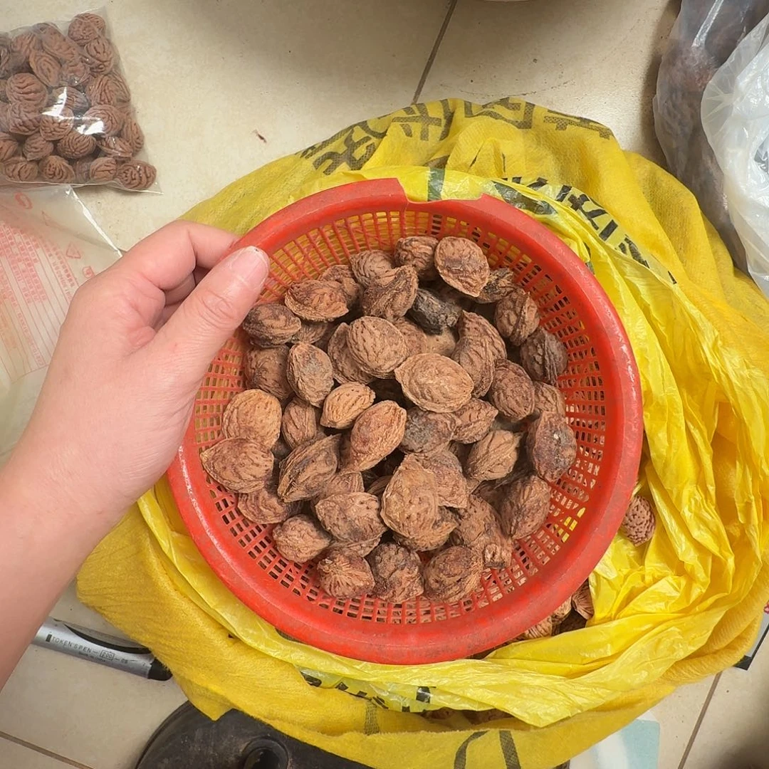 精品毛桃核大核半斤