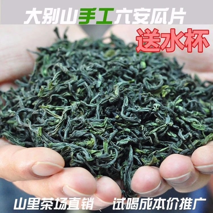 提采:六安瓜片2025手工茶（浓香耐泡）新茶金寨雨前老品种茶